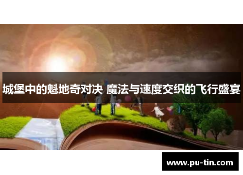 城堡中的魁地奇对决 魔法与速度交织的飞行盛宴