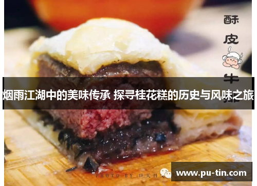 烟雨江湖中的美味传承 探寻桂花糕的历史与风味之旅 烟雨江湖中的美味传承 探寻桂花糕的历史与风味之旅